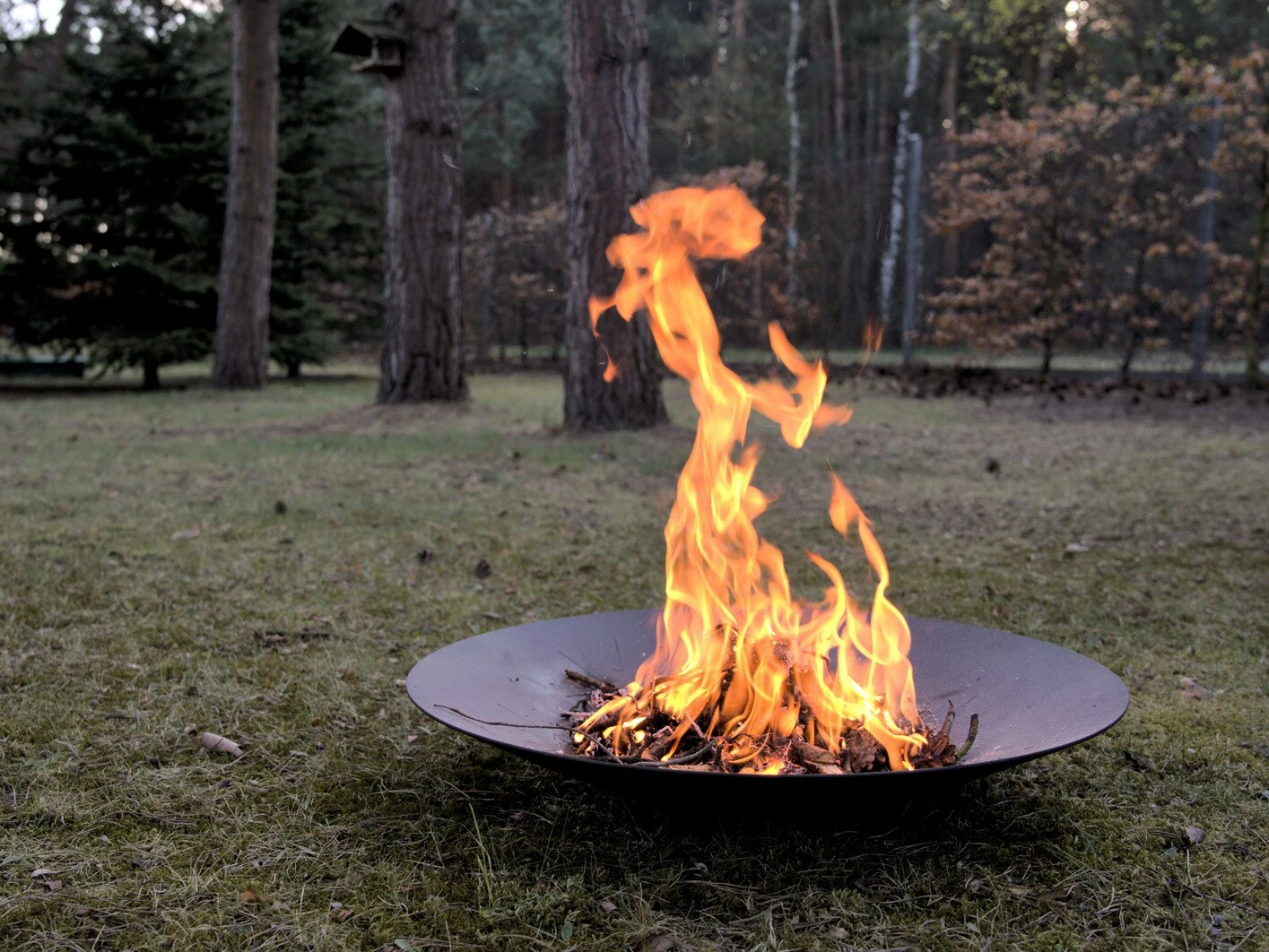 Nonjoo. Feuerstelle Vulcanus – Bild 3