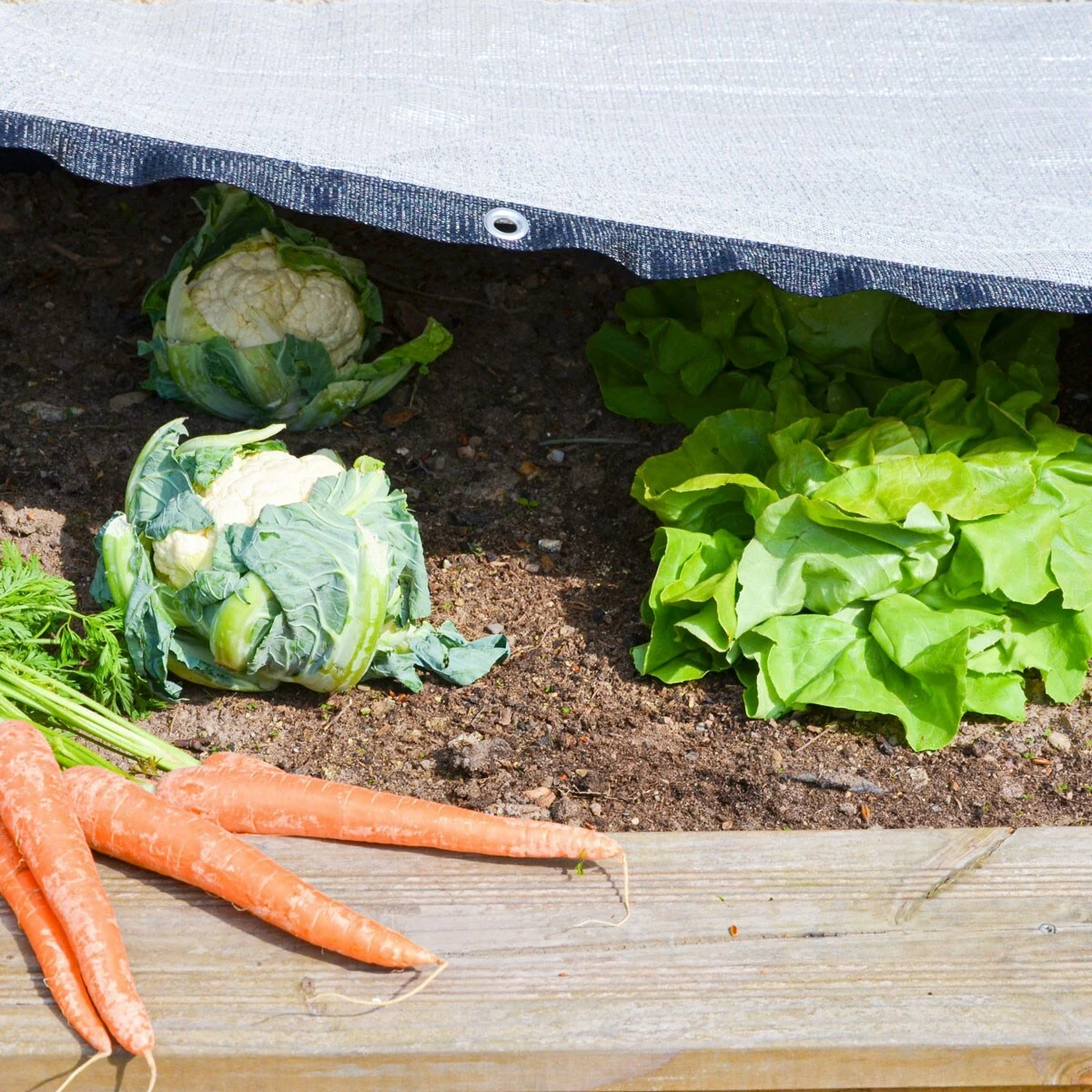 Amanka 99% Schattennetz 3x4m Alu Sonnensegel Sonnenschutz Netz Hitzeschutz Für Auto – Bild 3