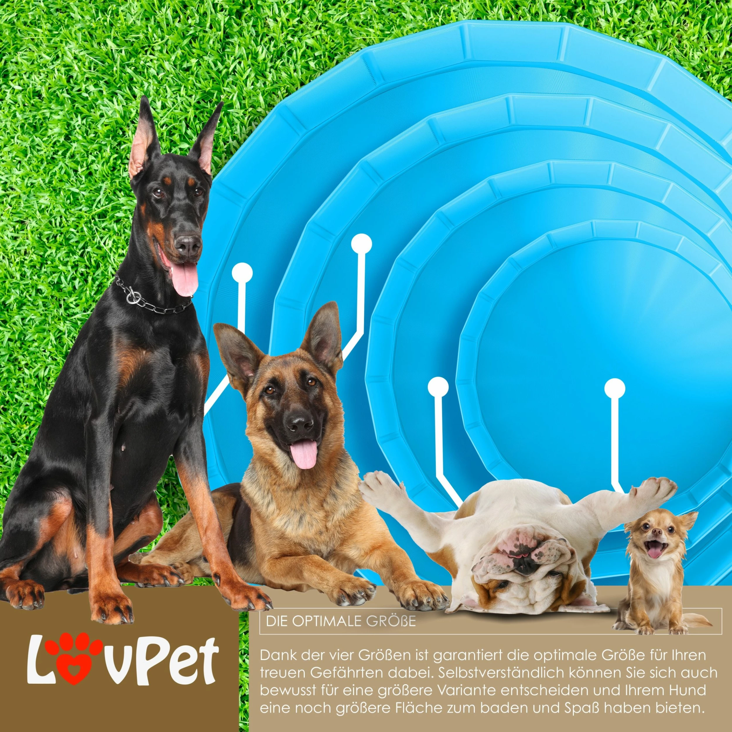LOVPET® Faltbarer Hundepool Schwimmbecken Für Große & Kleine Hunde, Inkl. Hundespielzeug Faltbare Hunde Pools Planschbecken Für Kinder Und Hunde, Hundebadewanne Hundebad – Bild 6